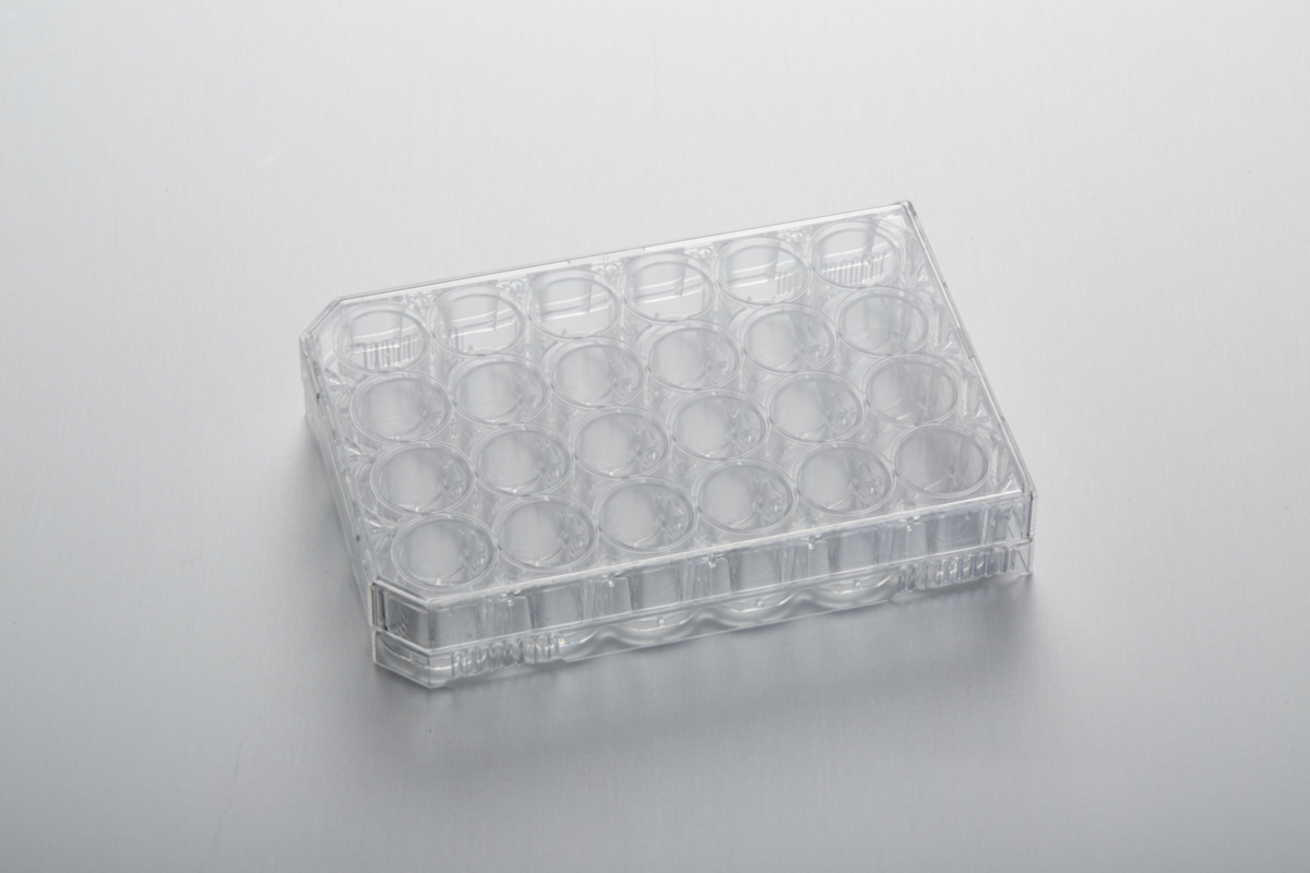 Планшет для культур клітин CytoOne® , 24 лунки, ТС-оброблений, стерильний